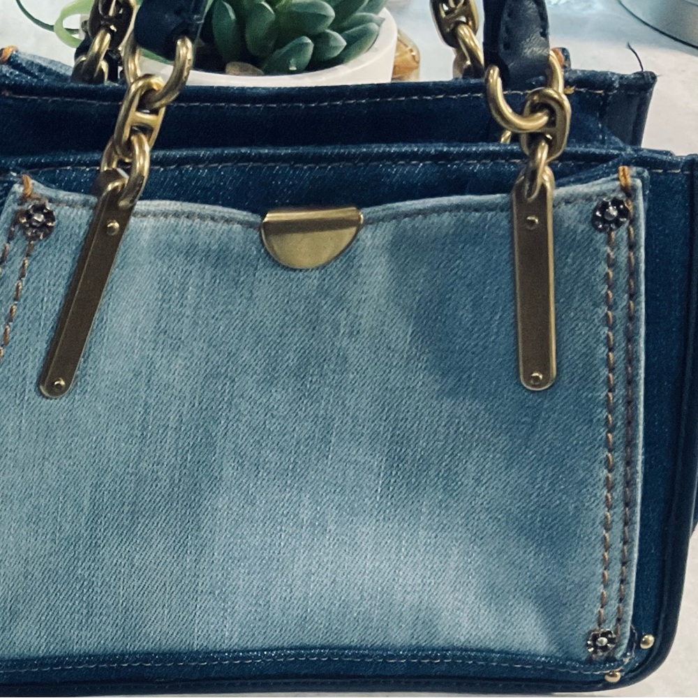 Coach dreamer bag